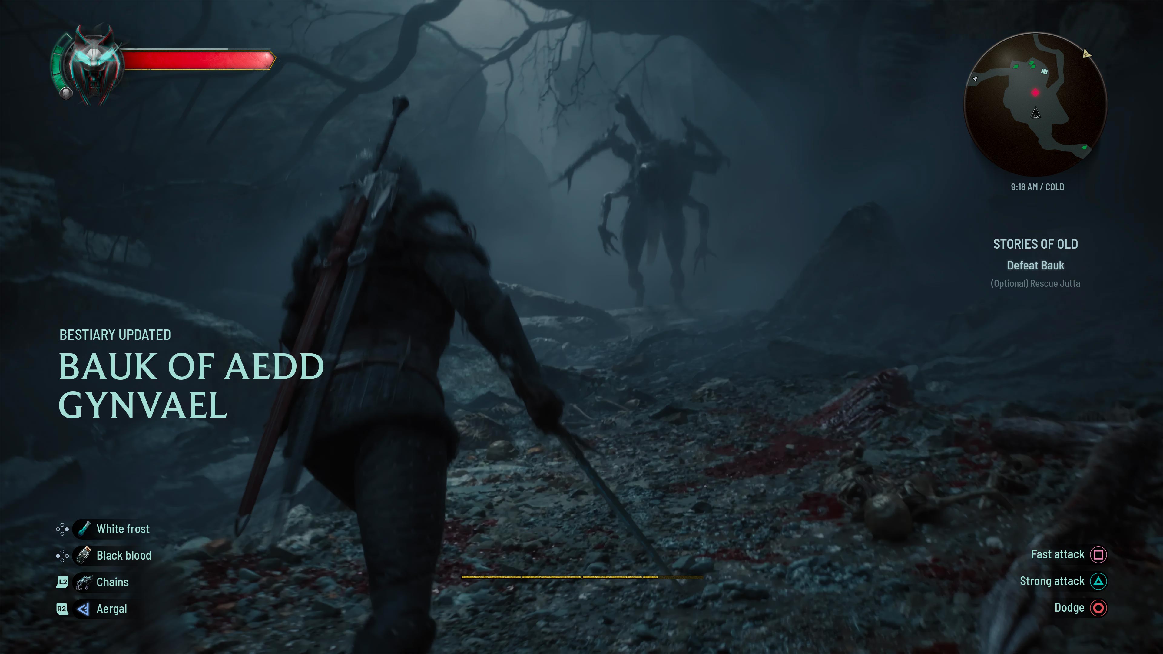 Traditional Witcher IV combat HUD concept